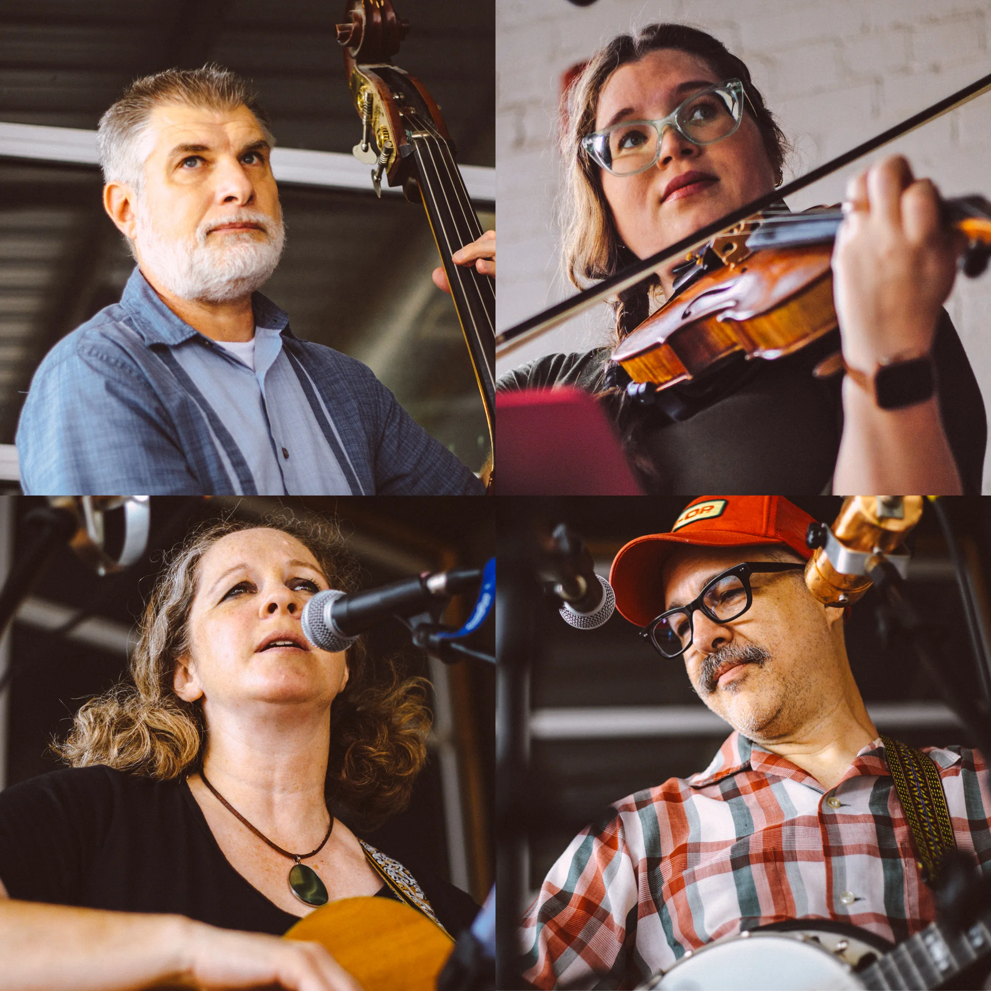 Four performance portraits of members of The Scrips